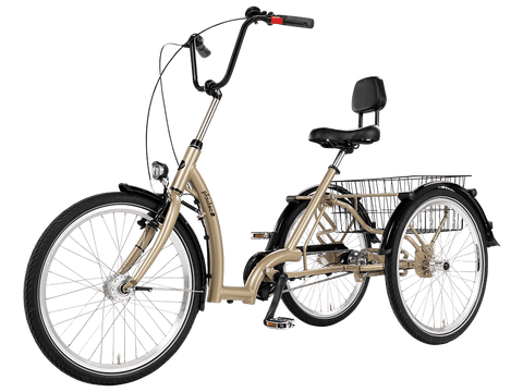 Pfautec Comfort Dreirad mit Rückenlehne